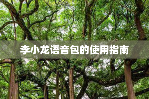 李小龙语音包的使用指南