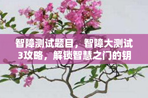 智障测试题目,智障大测试3攻略,解锁智慧之门的钥匙 智障测试题目,智障大测试3攻略,解锁智慧之门的钥匙
