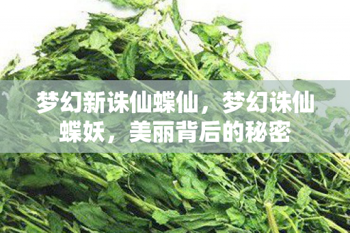 梦幻新诛仙蝶仙,梦幻诛仙蝶妖,美丽背后的秘密 梦幻新诛仙蝶仙,梦幻诛仙蝶妖,美丽背后的秘密