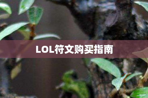 LOL符文购买指南 LOL符文购买指南