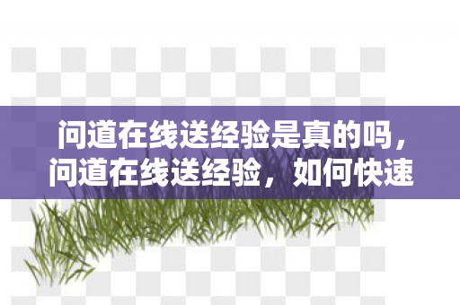 问道在线送经验是真的吗,问道在线送经验,如何快速提升你的游戏等级 问道在线送经验是真的吗,问道在线送经验,如何快速提升你的游戏等级