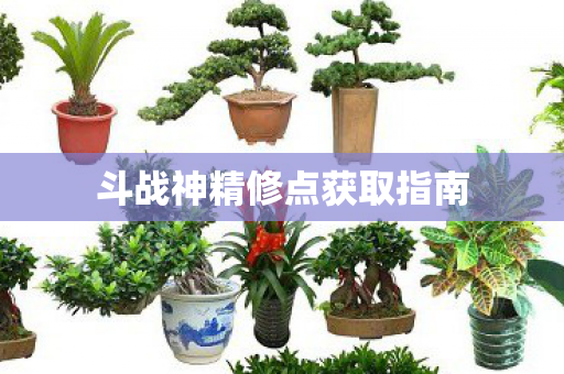 斗战神精修点获取指南 斗战神精修点获取指南