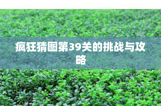 疯狂猜图第39关的挑战与攻略 疯狂猜图第39关的挑战与攻略
