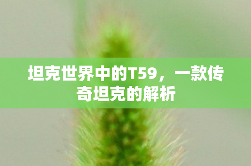 坦克世界中的T59,一款传奇坦克的解析 坦克世界中的T59,一款传奇坦克的解析