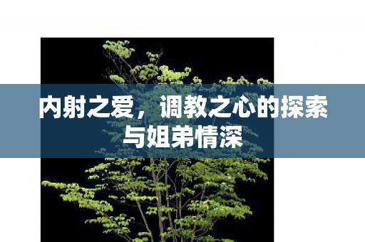 内射之爱,调教之心的探索与姐弟情深 内射之爱,调教之心的探索与姐弟情深