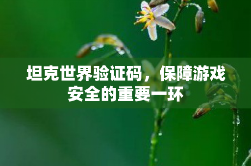 坦克世界验证码，保障游戏安全的重要一环