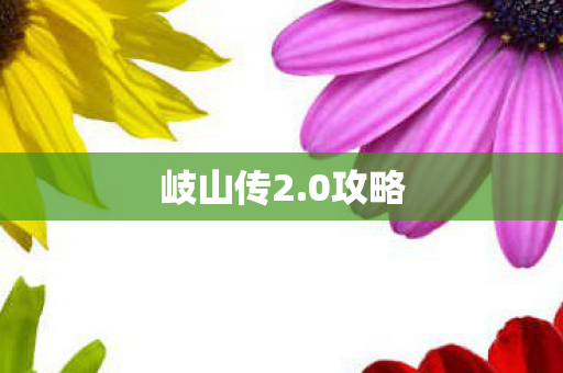 岐山传2.0攻略 岐山传2.0攻略