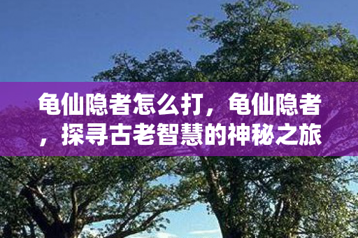 龟仙隐者怎么打,龟仙隐者,探寻古老智慧的神秘之旅 龟仙隐者怎么打,龟仙隐者,探寻古老智慧的神秘之旅