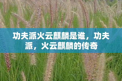 功夫派火云麒麟是谁,功夫派,火云麒麟的传奇 功夫派火云麒麟是谁,功夫派,火云麒麟的传奇