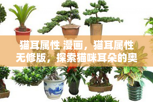猫耳属性 漫画,猫耳属性无修版,探索猫咪耳朵的奥秘 猫耳属性 漫画,猫耳属性无修版,探索猫咪耳朵的奥秘