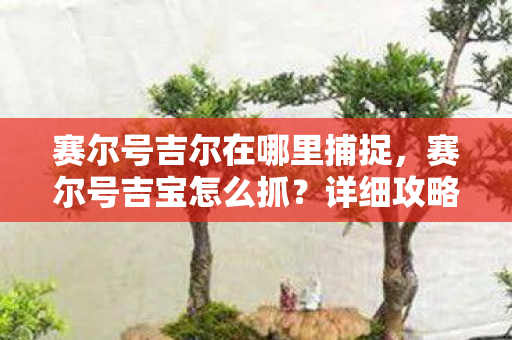 赛尔号吉尔在哪里捕捉,赛尔号吉宝怎么抓?详细攻略助你轻松捕获 赛尔号吉尔在哪里捕捉,赛尔号吉宝怎么抓?详细攻略助你轻松捕获