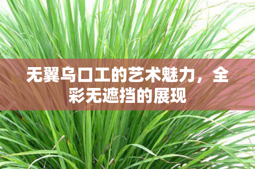 无翼乌口工的艺术魅力,全彩无遮挡的展现 无翼乌口工的艺术魅力,全彩无遮挡的展现