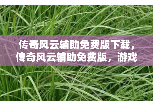 传奇风云辅助免费版下载,传奇风云辅助免费版,游戏玩家的福音? 传奇风云辅助免费版下载,传奇风云辅助免费版,游戏玩家的福音?