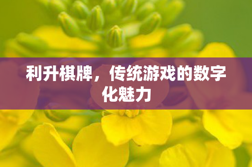 利升棋牌,传统游戏的数字化魅力 利升棋牌,传统游戏的数字化魅力
