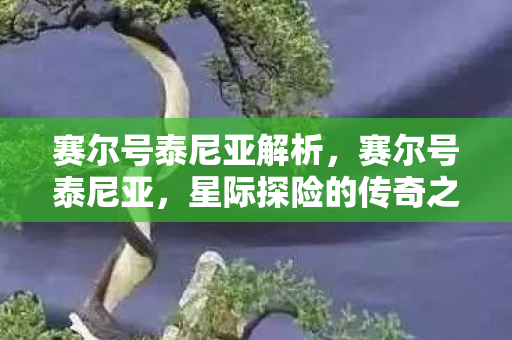赛尔号泰尼亚解析,赛尔号泰尼亚,星际探险的传奇之旅 赛尔号泰尼亚解析,赛尔号泰尼亚,星际探险的传奇之旅