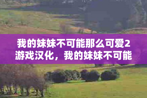 我的妹妹不可能那么可爱2游戏汉化,我的妹妹不可能那么可爱2,家庭中的温馨与成长 我的妹妹不可能那么可爱2游戏汉化,我的妹妹不可能那么可爱2,家庭中的温馨与成长