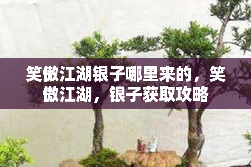笑傲江湖银子哪里来的,笑傲江湖,银子获取攻略 笑傲江湖银子哪里来的,笑傲江湖,银子获取攻略