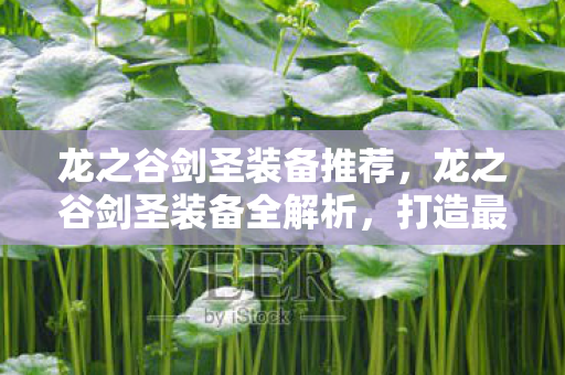 龙之谷剑圣装备推荐,龙之谷剑圣装备全解析,打造最强战斗力的关键 龙之谷剑圣装备推荐,龙之谷剑圣装备全解析,打造最强战斗力的关键