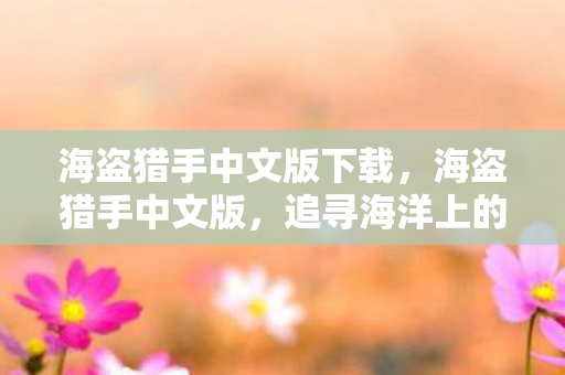 海盗猎手中文版下载,海盗猎手中文版,追寻海洋上的自由与正义 海盗猎手中文版下载,海盗猎手中文版,追寻海洋上的自由与正义