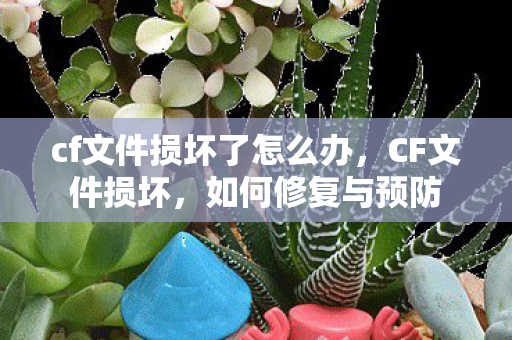cf文件损坏了怎么办,CF文件损坏,如何修复与预防 cf文件损坏了怎么办,CF文件损坏,如何修复与预防