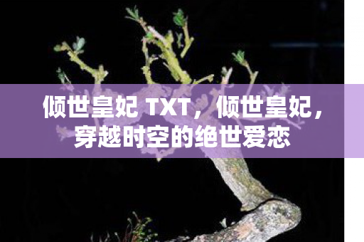倾世皇妃 TXT，倾世皇妃，穿越时空的绝世爱恋