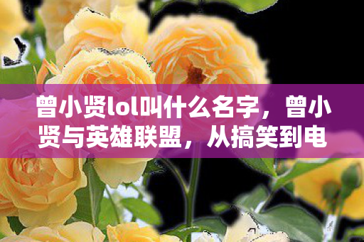 曾小贤lol叫什么名字，曾小贤与英雄联盟，从搞笑到电竞的跨界之旅
