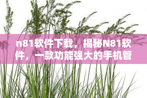 n81软件下载,揭秘N81软件,一款功能强大的手机管理软件 n81软件下载,揭秘N81软件,一款功能强大的手机管理软件