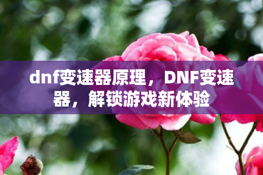 dnf变速器原理,DNF变速器,解锁游戏新体验 dnf变速器原理,DNF变速器,解锁游戏新体验
