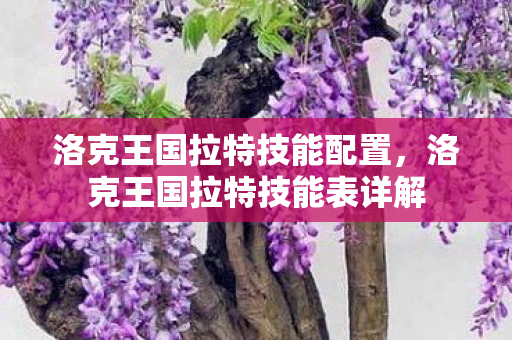 洛克王国拉特技能配置,洛克王国拉特技能表详解 洛克王国拉特技能配置,洛克王国拉特技能表详解