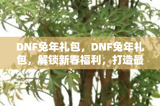 DNF兔年礼包,DNF兔年礼包,解锁新春福利,打造最强角色! DNF兔年礼包,DNF兔年礼包,解锁新春福利,打造最强角色!
