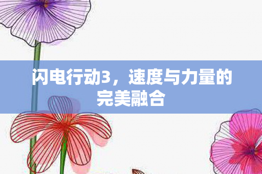 闪电行动3,速度与力量的完美融合 闪电行动3,速度与力量的完美融合