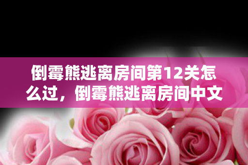 倒霉熊逃离房间第12关怎么过,倒霉熊逃离房间中文版,一场意外的冒险之旅 倒霉熊逃离房间第12关怎么过,倒霉熊逃离房间中文版,一场意外的冒险之旅