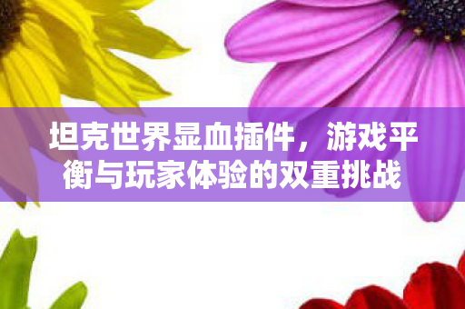 坦克世界显血插件,游戏平衡与玩家体验的双重挑战 坦克世界显血插件,游戏平衡与玩家体验的双重挑战