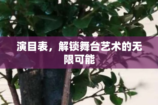 演目表,解锁舞台艺术的无限可能 演目表,解锁舞台艺术的无限可能