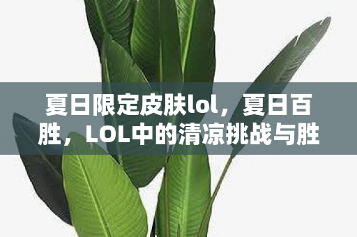 夏日限定皮肤lol，夏日百胜，LOL中的清凉挑战与胜利