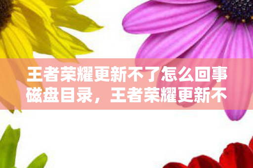 王者荣耀更新不了怎么回事磁盘目录，王者荣耀更新不了怎么回事？