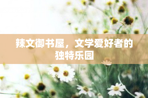 辣文御书屋,文学爱好者的独特乐园 辣文御书屋,文学爱好者的独特乐园