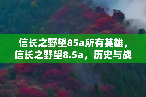 信长之野望85a所有英雄，信长之野望8.5a，历史与战略的交响曲