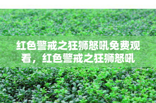 红色警戒之狂狮怒吼免费观看,红色警戒之狂狮怒吼 红色警戒之狂狮怒吼免费观看,红色警戒之狂狮怒吼