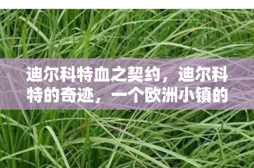 迪尔科特血之契约，迪尔科特的奇迹，一个欧洲小镇的复兴故事