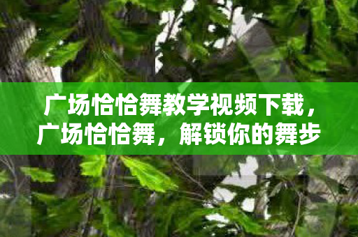 广场恰恰舞教学视频下载,广场恰恰舞,解锁你的舞步,释放你的热情 广场恰恰舞教学视频下载,广场恰恰舞,解锁你的舞步,释放你的热情