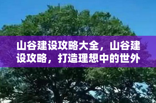 山谷建设攻略大全，山谷建设攻略，打造理想中的世外桃源