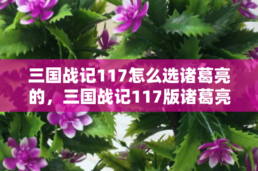 三国战记117怎么选诸葛亮的,三国战记117版诸葛亮选择攻略 三国战记117怎么选诸葛亮的,三国战记117版诸葛亮选择攻略