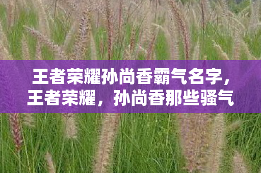 王者荣耀孙尚香霸气名字,王者荣耀,孙尚香那些骚气的名字 王者荣耀孙尚香霸气名字,王者荣耀,孙尚香那些骚气的名字