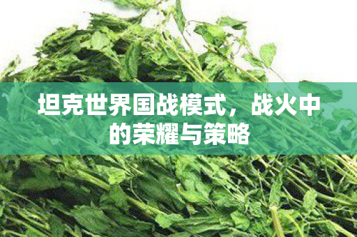 坦克世界国战模式，战火中的荣耀与策略