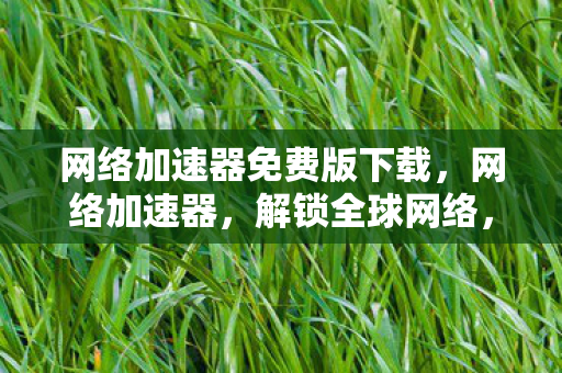 网络加速器免费版下载,网络加速器,解锁全球网络,畅享极速体验 网络加速器免费版下载,网络加速器,解锁全球网络,畅享极速体验