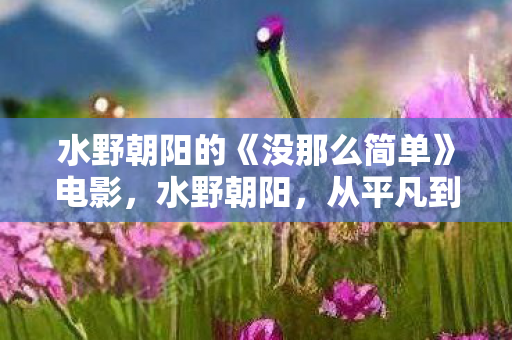 水野朝阳的《没那么简单》电影,水野朝阳,从平凡到卓越的日本女性企业家 水野朝阳的《没那么简单》电影,水野朝阳,从平凡到卓越的日本女性企业家