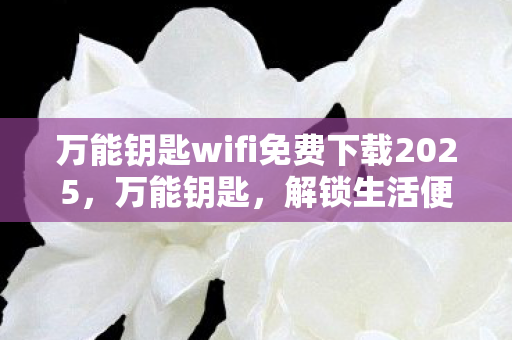 万能钥匙wifi免费下载2025，万能钥匙，解锁生活便利的神奇工具