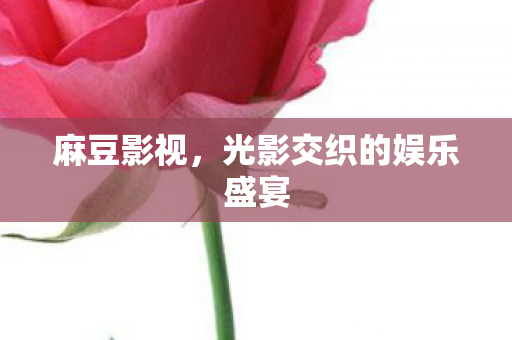 麻豆影视,光影交织的娱乐盛宴 麻豆影视,光影交织的娱乐盛宴
