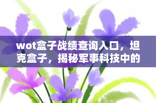 wot盒子战绩查询入口,坦克盒子,揭秘军事科技中的重型装甲利器 wot盒子战绩查询入口,坦克盒子,揭秘军事科技中的重型装甲利器